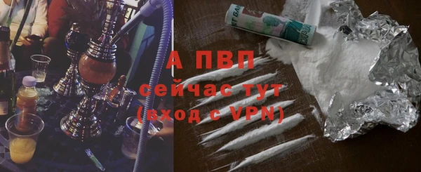 стаф Бугульма